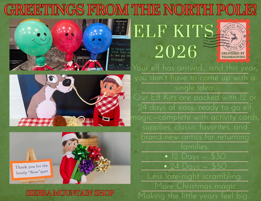 2026 Elf on the Shelf Kit